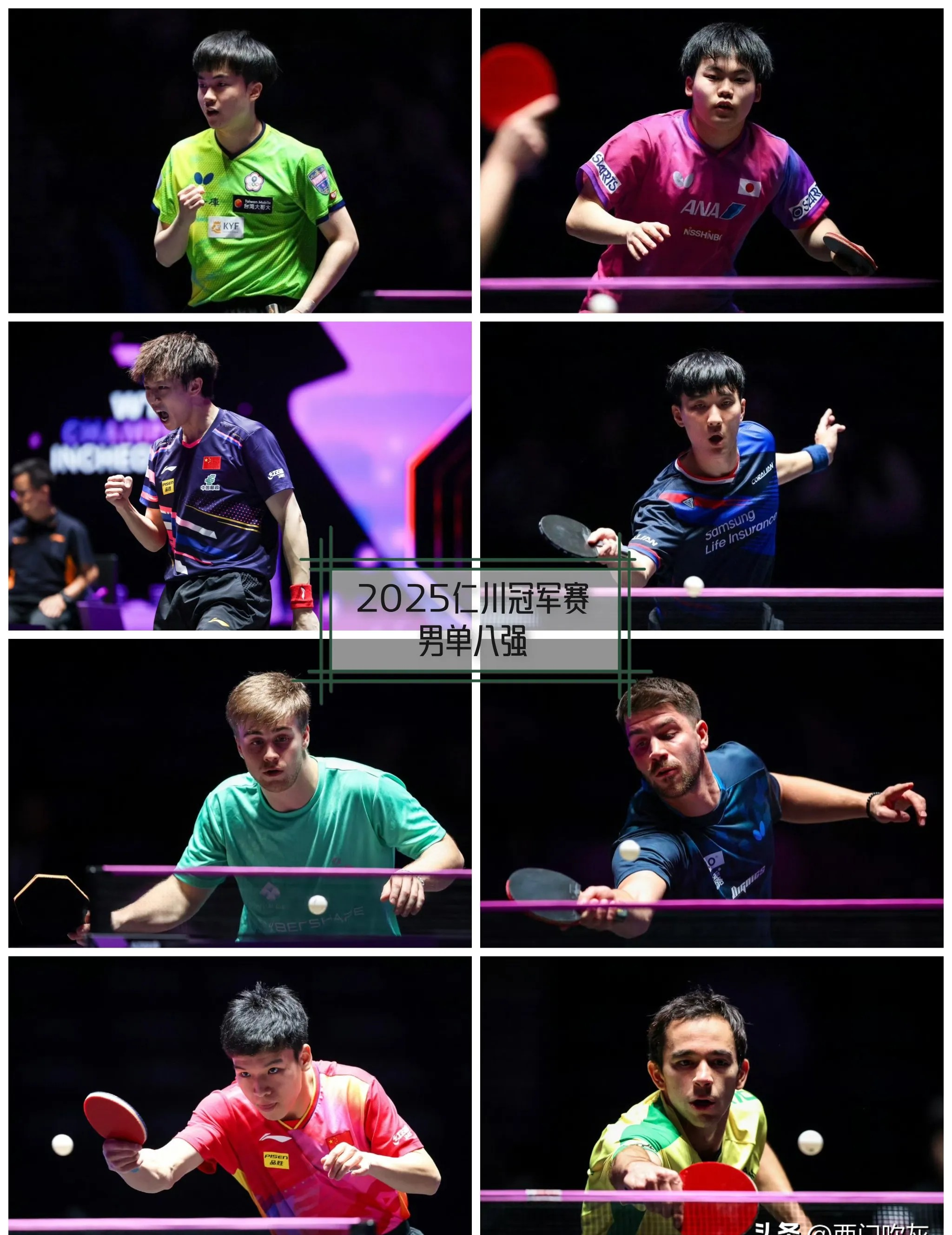 奥地利乒乓球队逆转日本乒乓球队，波尔制霸全场