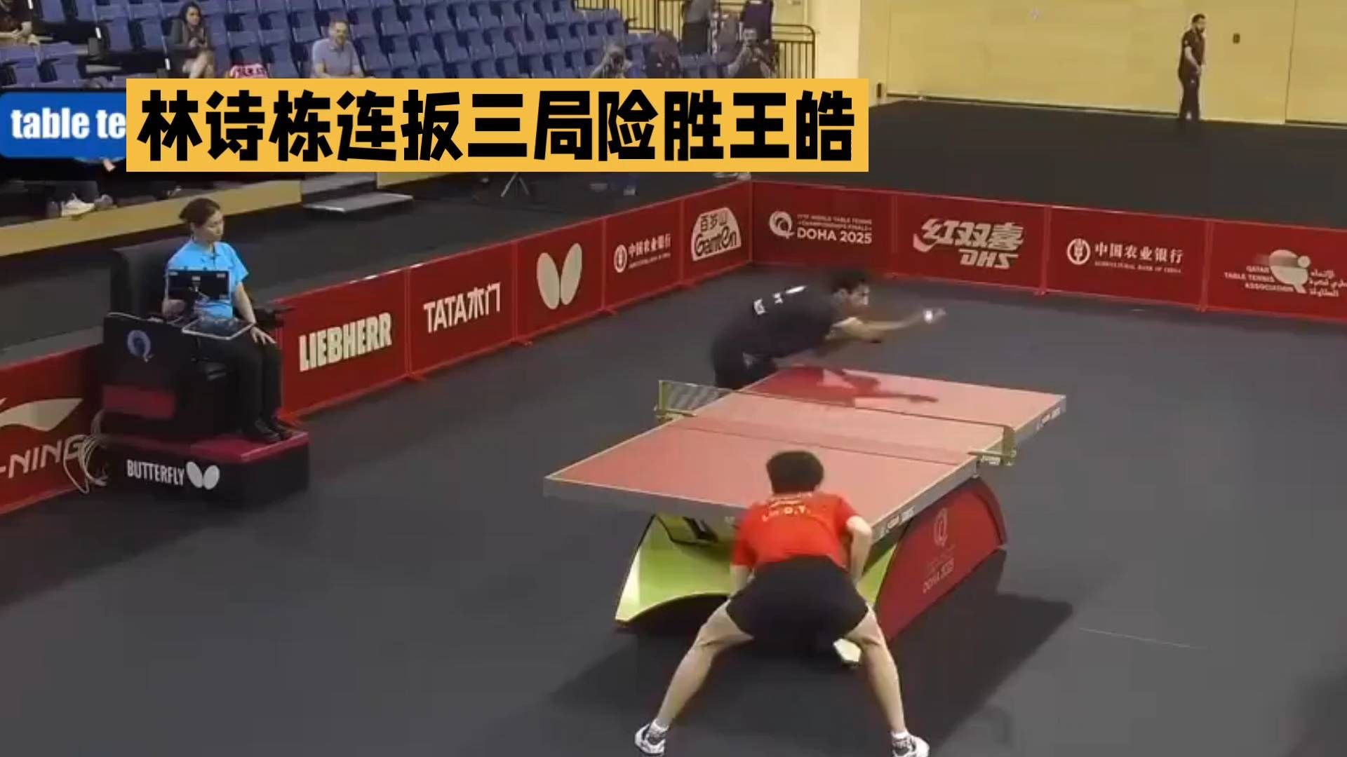 法国乒乓球队险胜波兰乒乓球队,王皓统治全场 法国乒乓球队险胜波兰乒乓球队,王皓统治全场