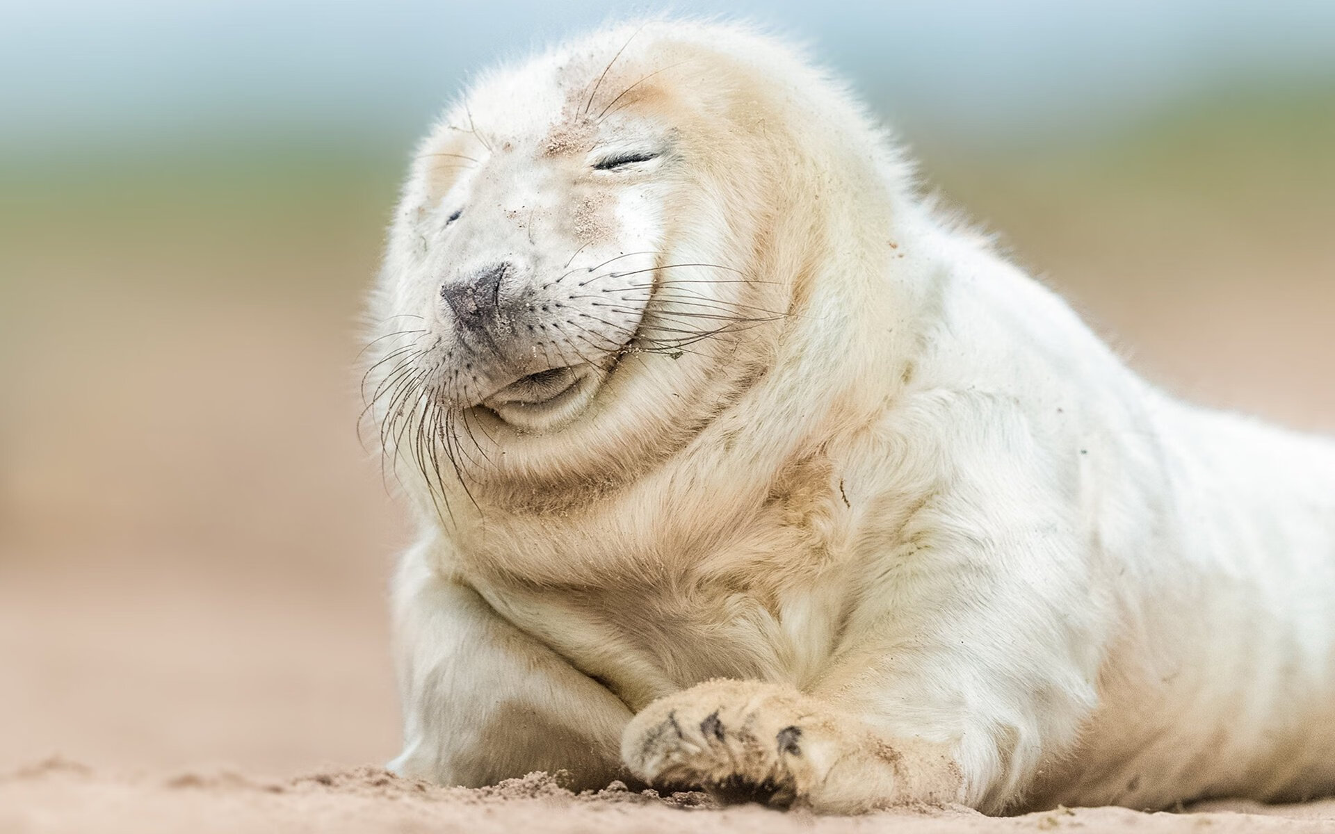 鏖战北境,公牛血战猛龙之夜,东契奇跨时空刷新历史