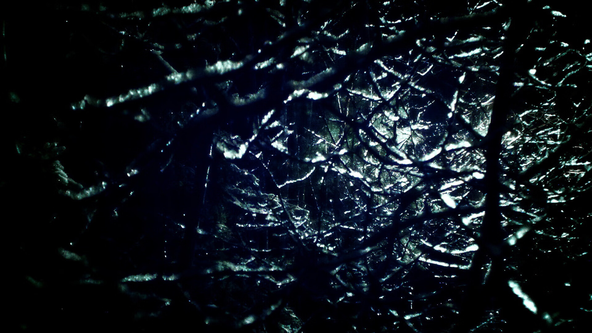 绝杀？唯一？维斯塔潘的失败为何比冠军更闪耀