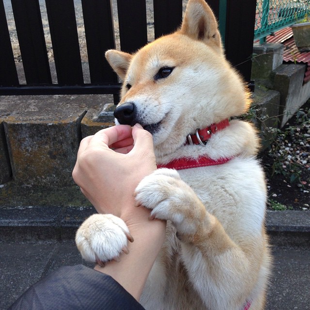 钢铁防线与孤胆英雄，梁靖崑如何在中国队碾压瑞典之役中扛起全队