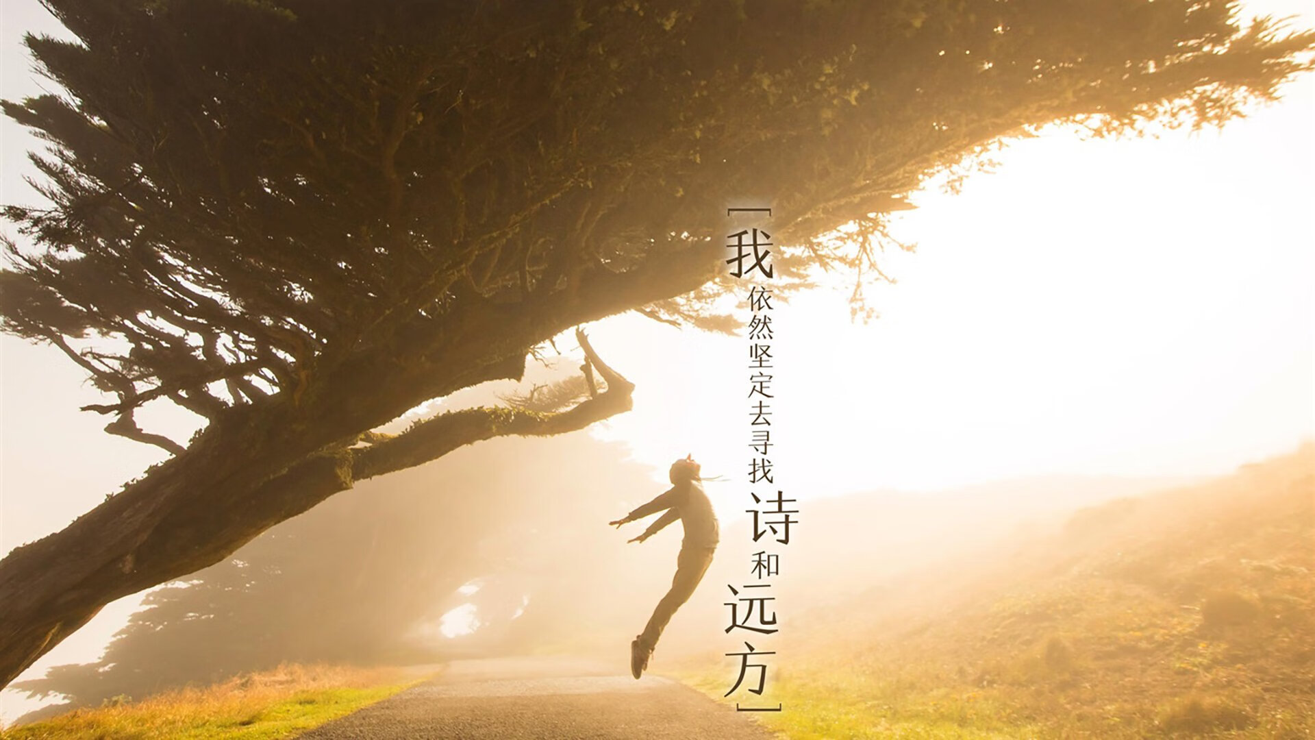 38秒改写72年,当孙兴慜的泪光照亮亚洲足球漫漫长夜