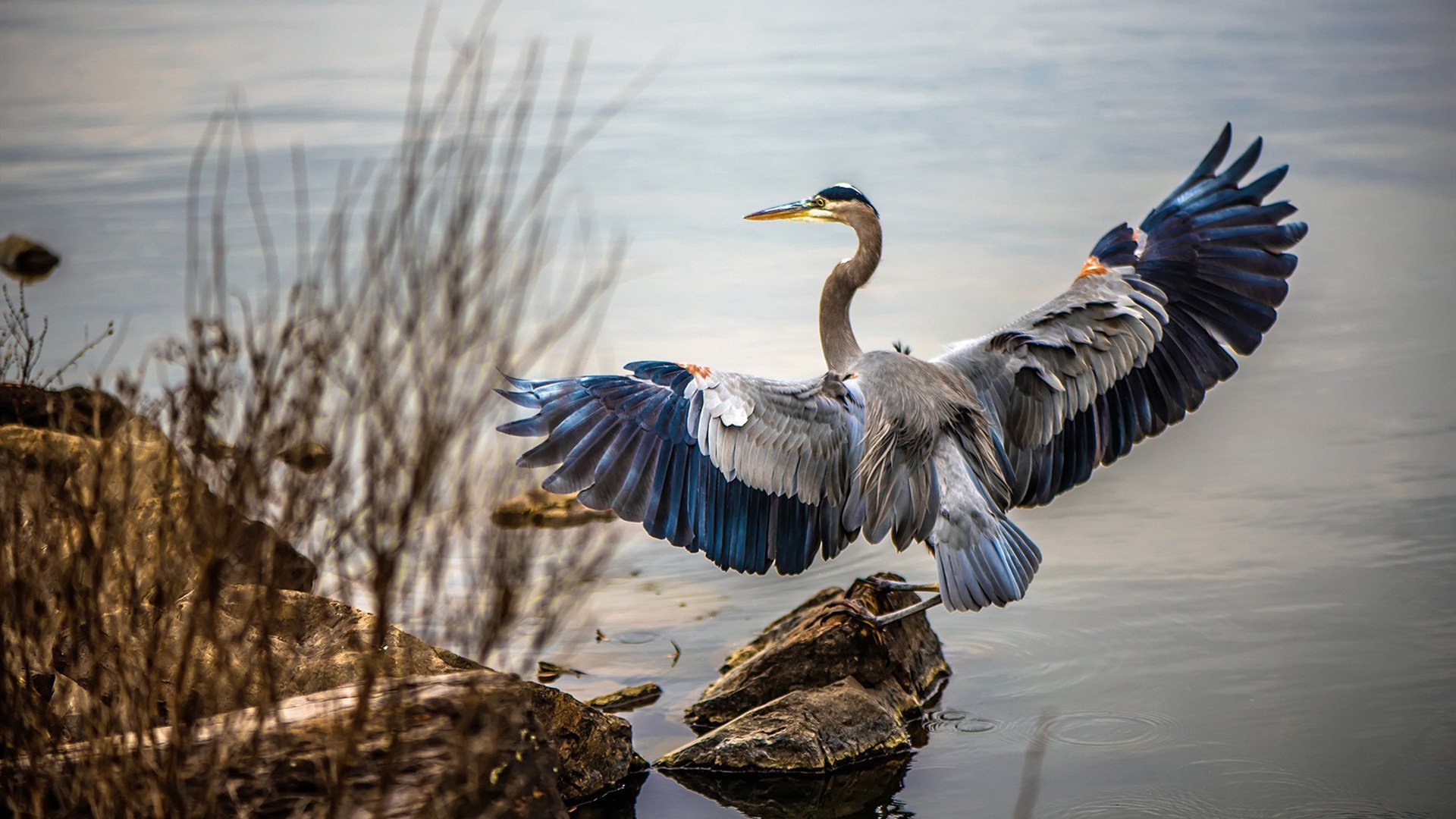 双重掌控，当战术压制遇见速度统治，胜利的唯一方程式