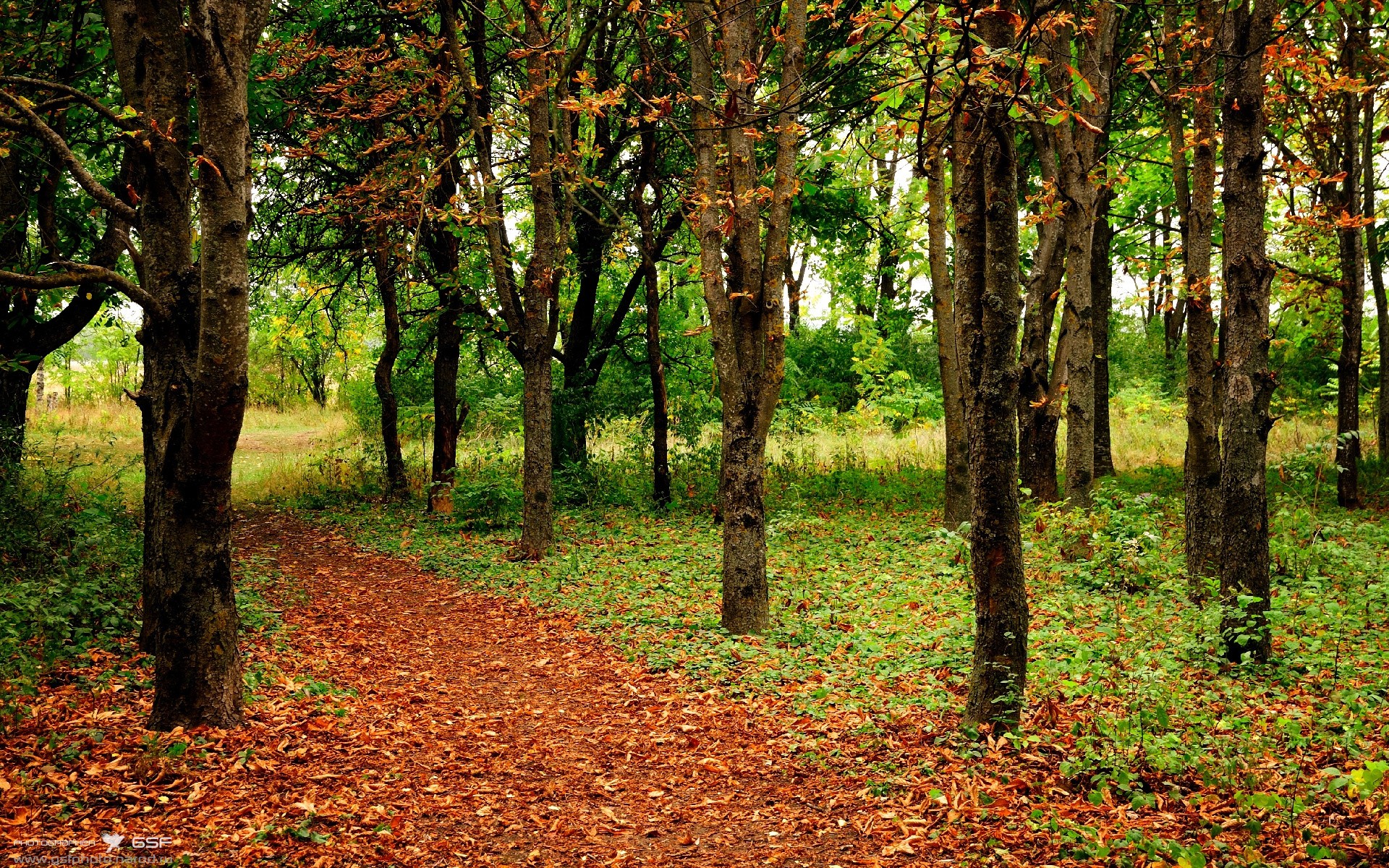 无解戈麦斯导演3-0大胜!精准直塞与完美调度,他就是国米的战术晴雨表