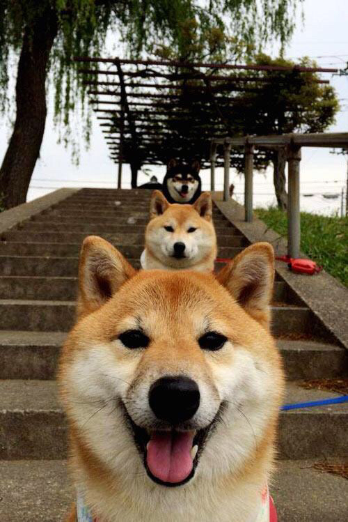 冰与火之歌，阿坎吉在瑞典与贝蒂斯的年度焦点战中，加时接管命运