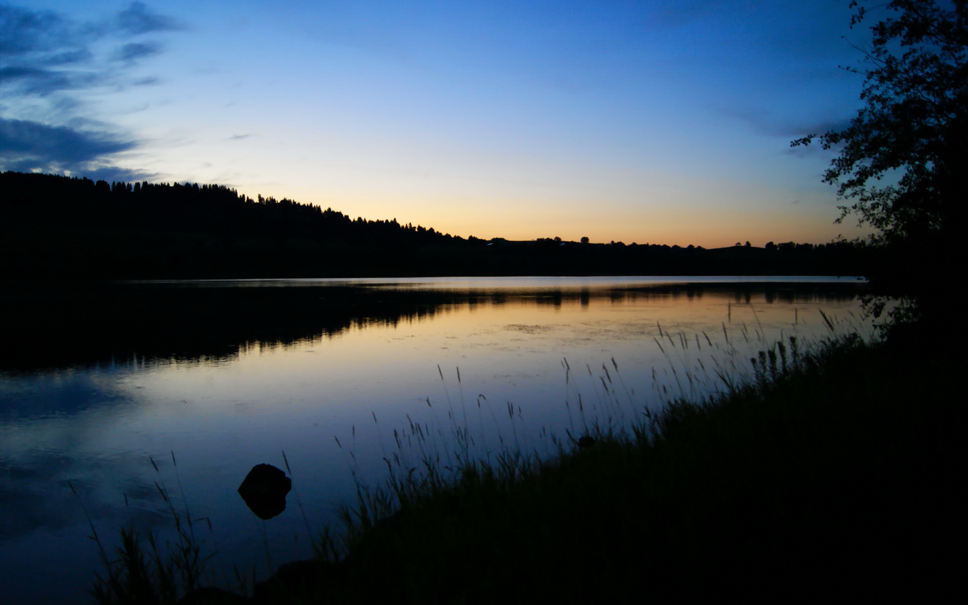 平行宇宙的篮球对决,库里跨维打爆广厦防线