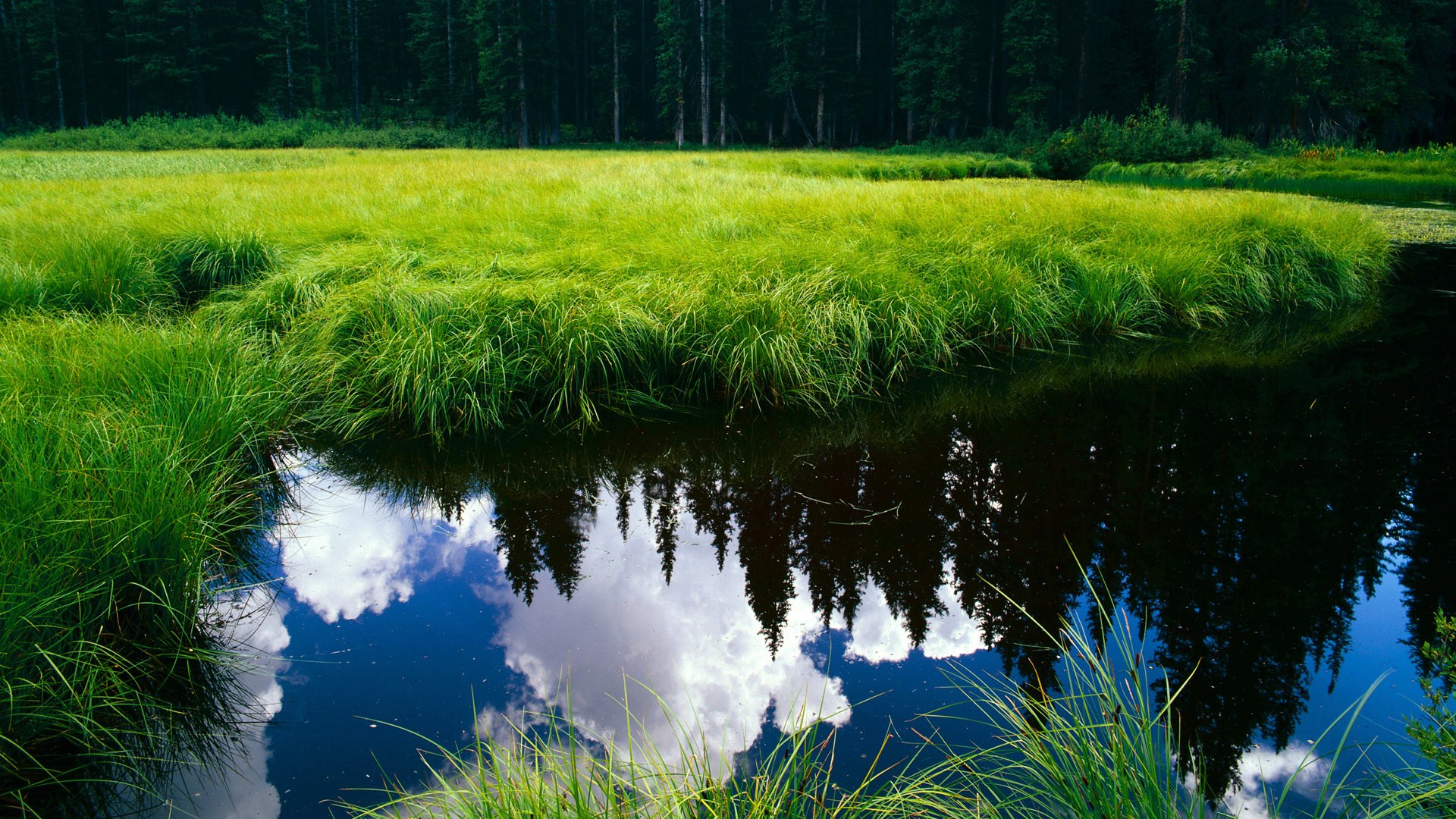 选项(任选其一)