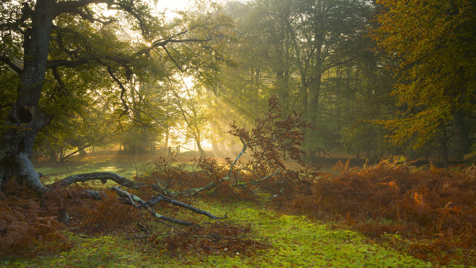 绿茵场上的跨界导演，当三笘薰在墨塞之战中执起教鞭