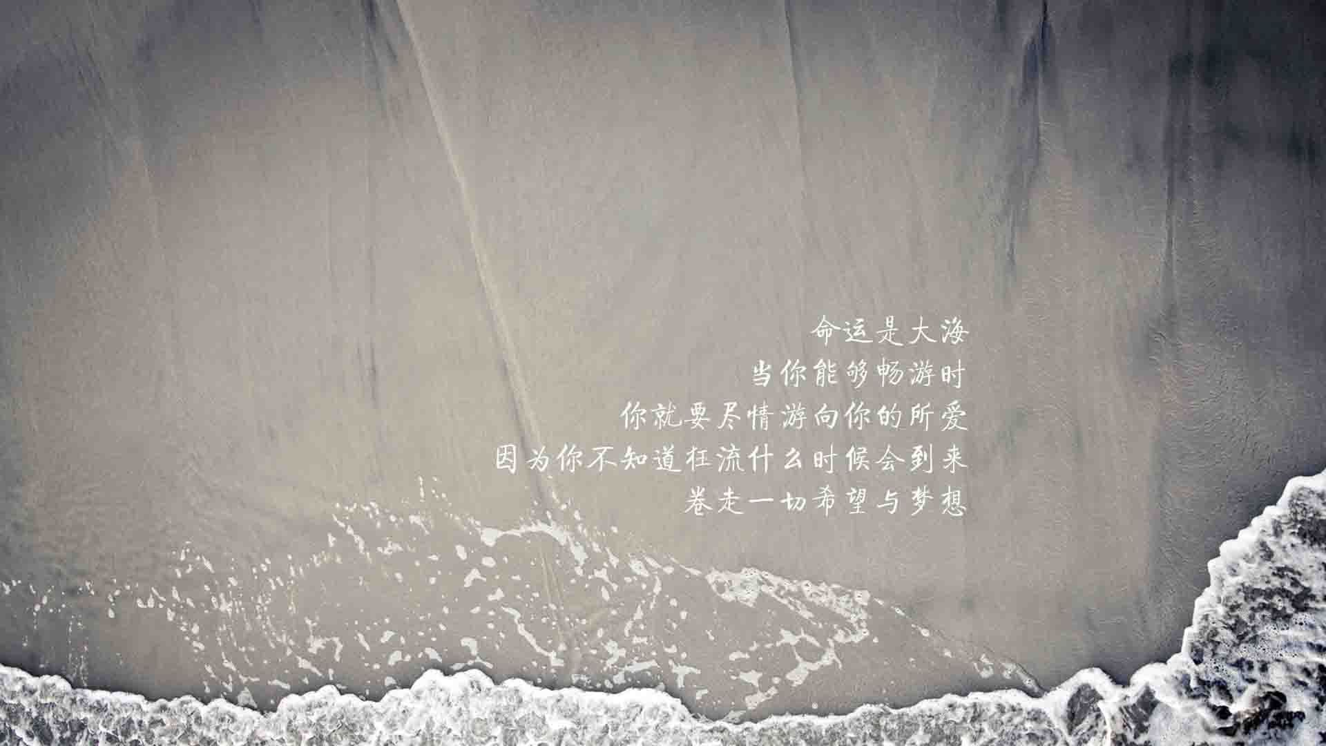 当CBA克莱遇见真王朝,他用一己之力击穿预定剧本