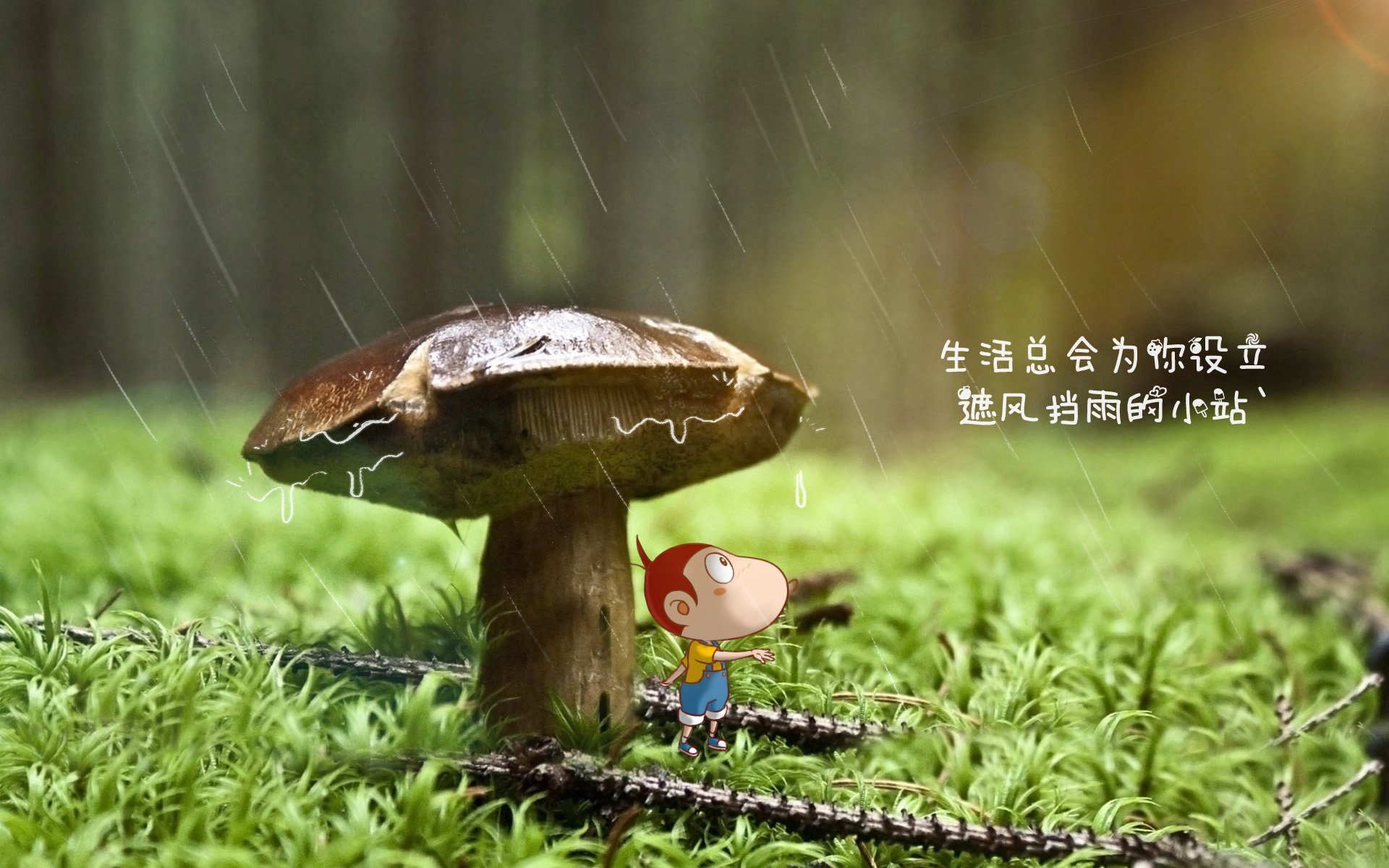 意甲焦点战之夜,从千夫所指到万人景仰,斯通斯用双脚完成史诗级正名