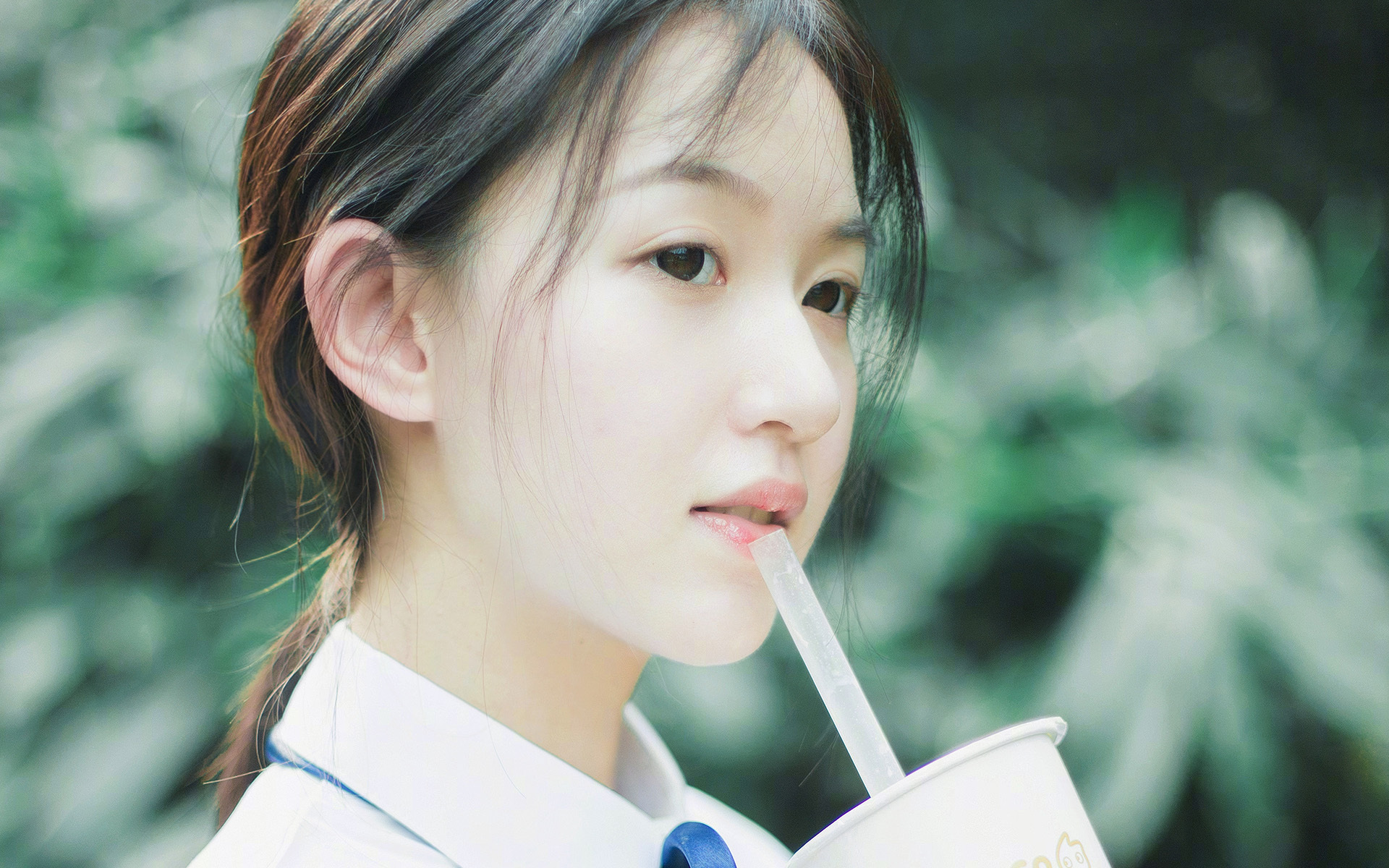 命运的交点,2026世界杯A组血色黄昏,德容的绝唱与摩洛哥门神的孤星