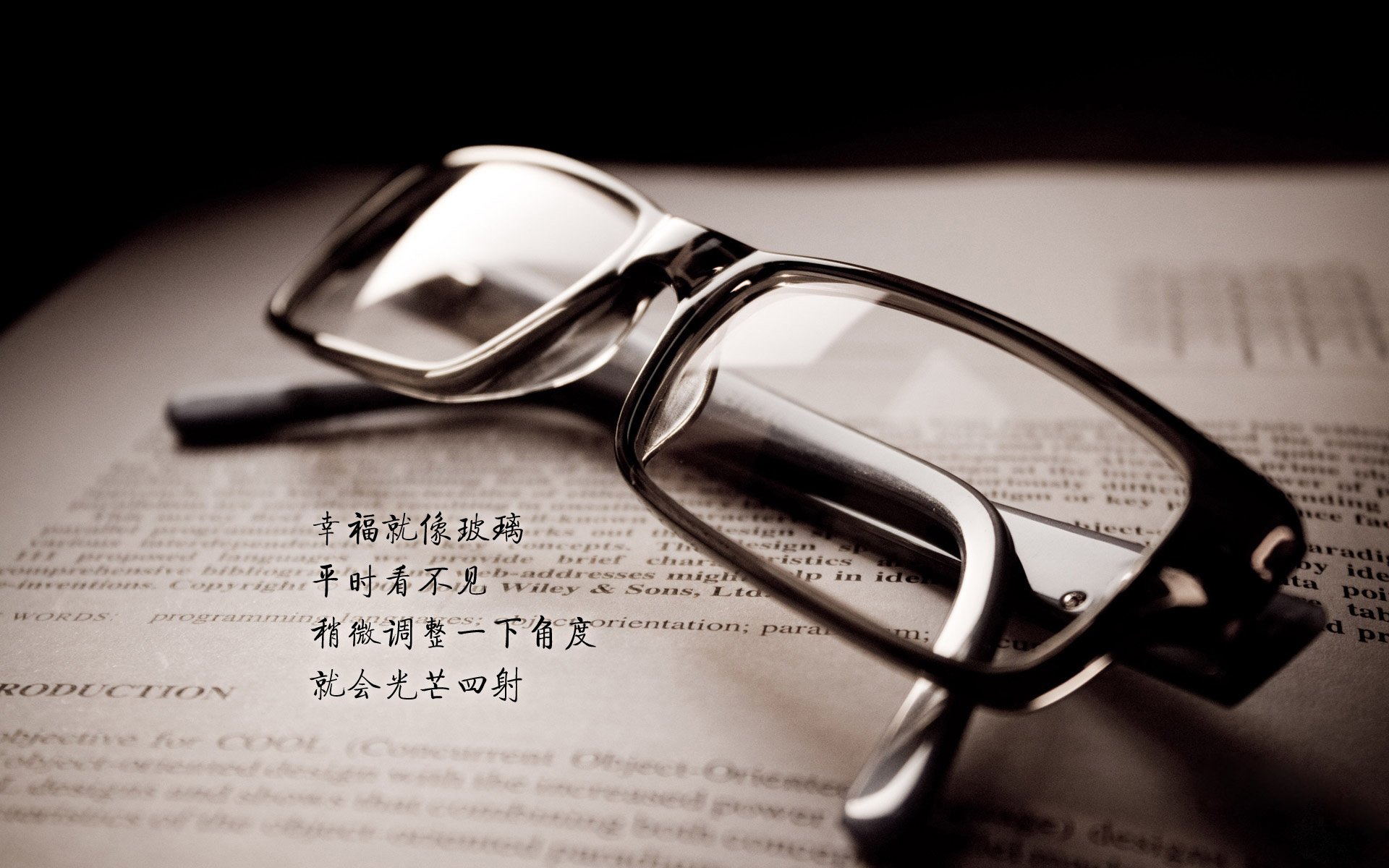 孤星耀世,莱万一个人的B组风暴,波兰如何以中场铁幕碾碎厄瓜多尔